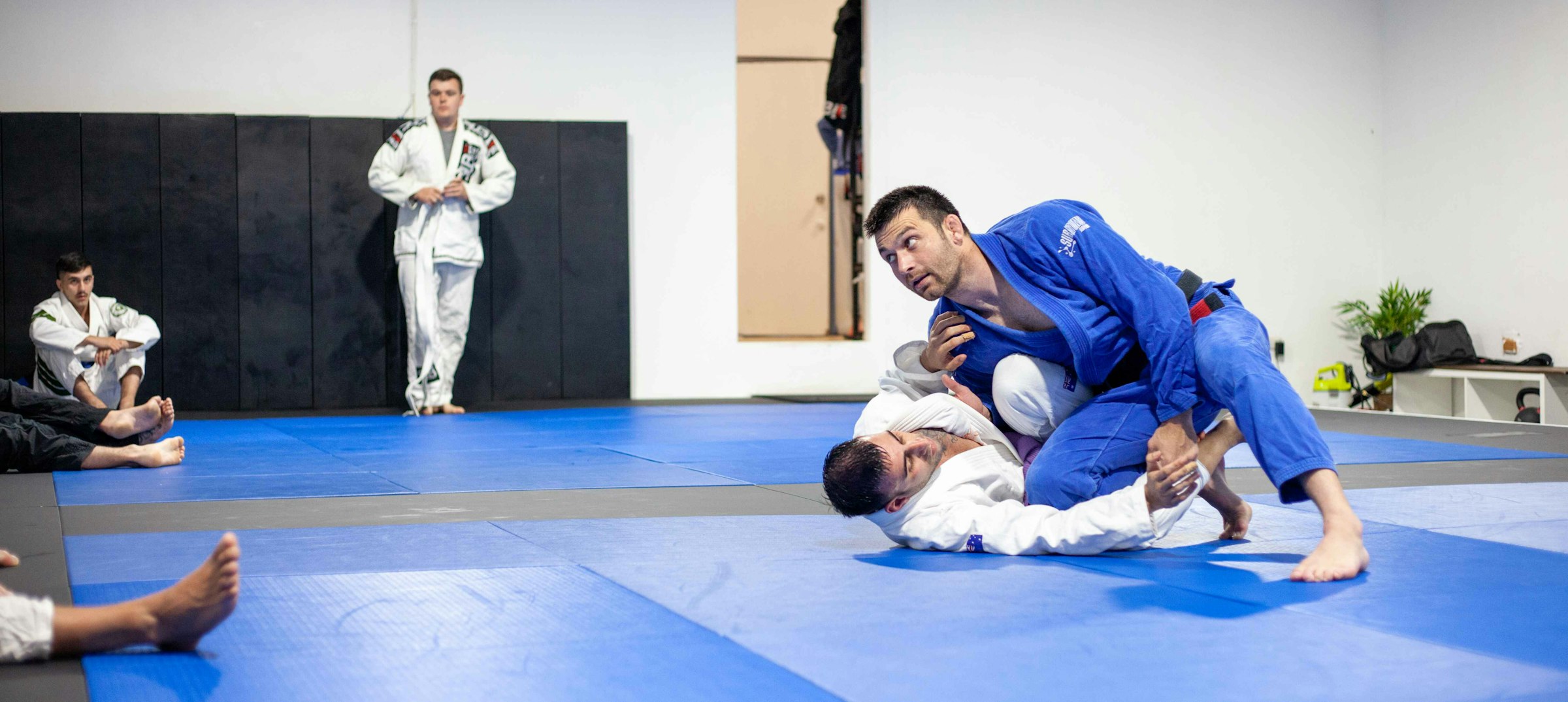 Students training Brazilian Jiu-Jitsu at Dragon BJJ Academy