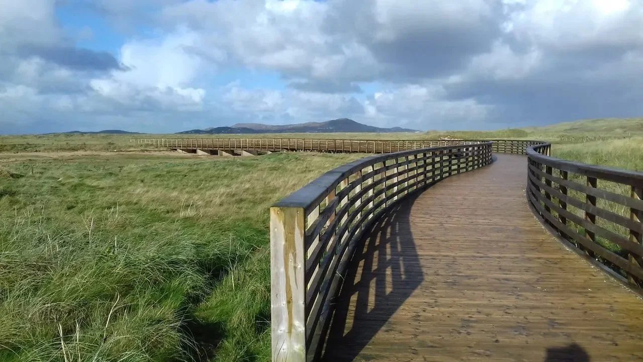 Local Life - Mulroy Drive, Co. Donegal