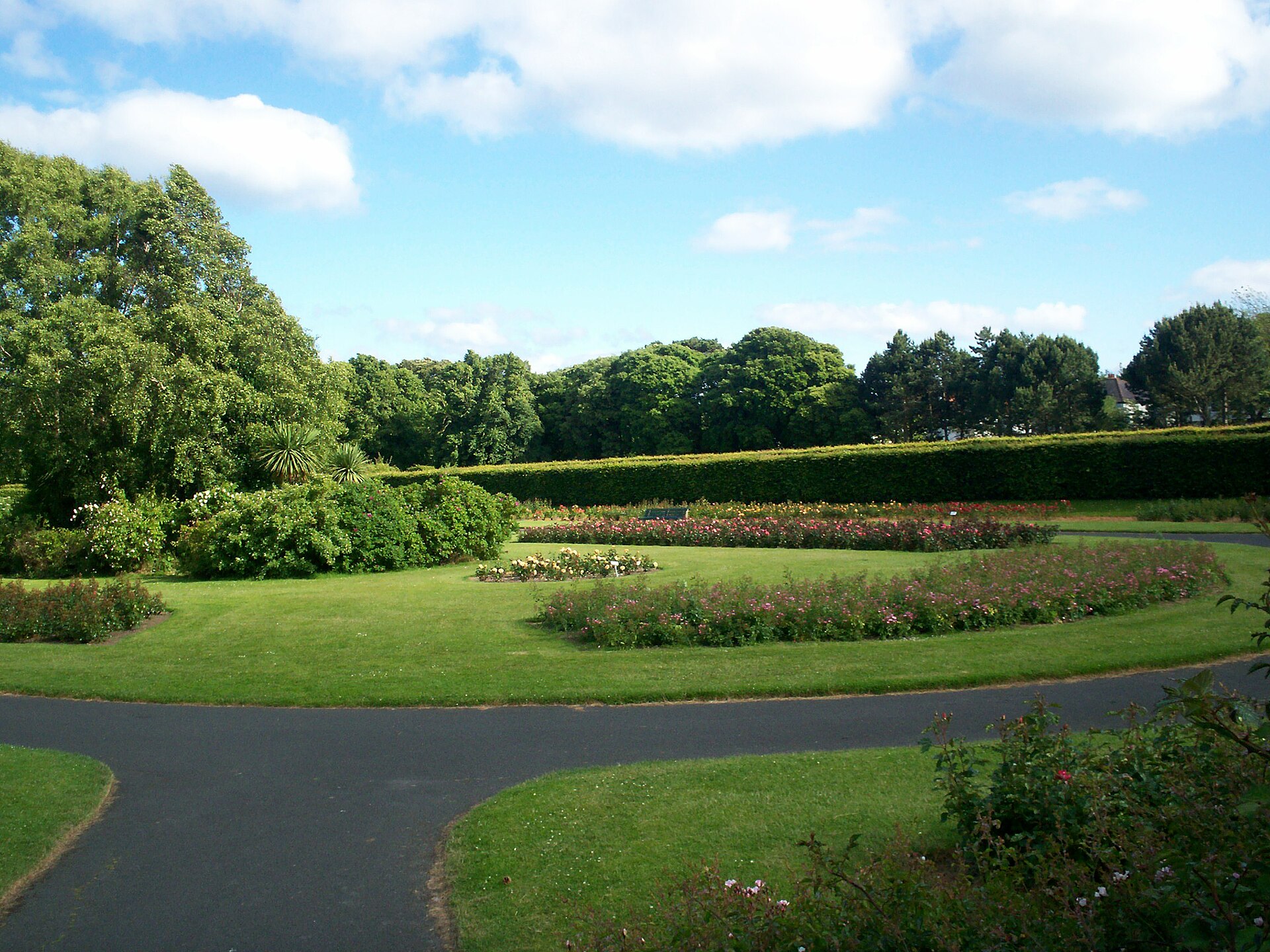 Rose beds in bloom along the paths of the St. Anne's Park rose garden
